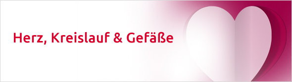 Herz, Kreislauf & Gefäße