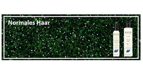 07 Normales Haar