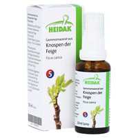 GEMMO-MAZERAT Ficus carica Spray