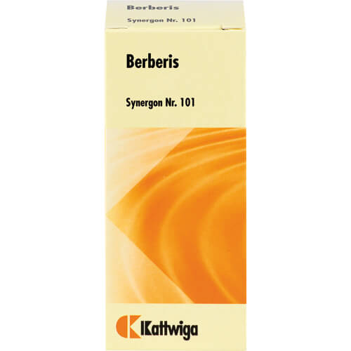 SYNERGON KOMPLEX 101 Berberis Tabletten