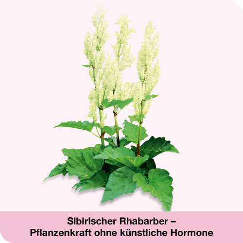 femiLoges bei Wechseljahresbeschwerden