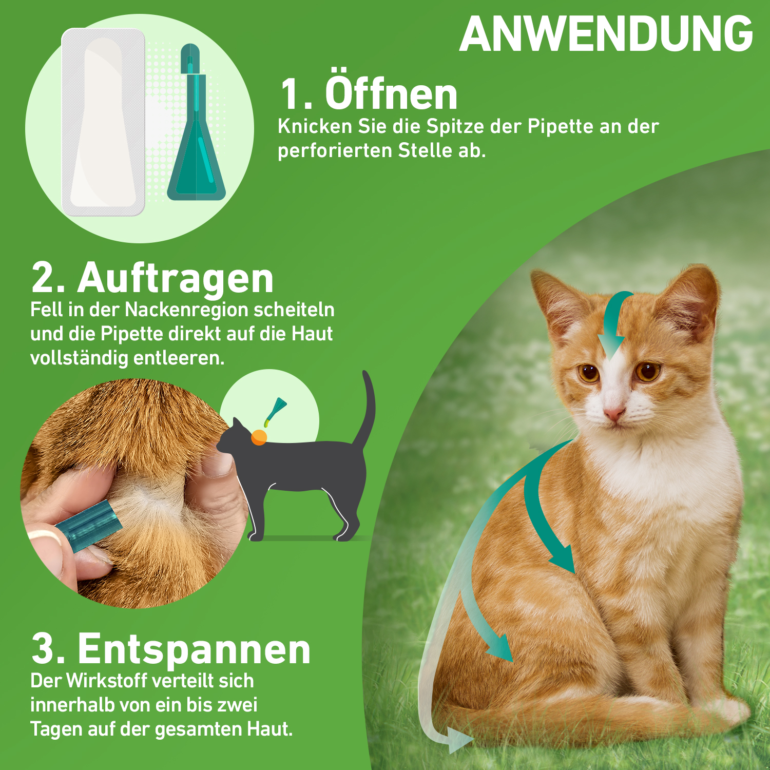 FRONTLINE Combo Spot on Katze Lsg.z.Auft.a.Haut