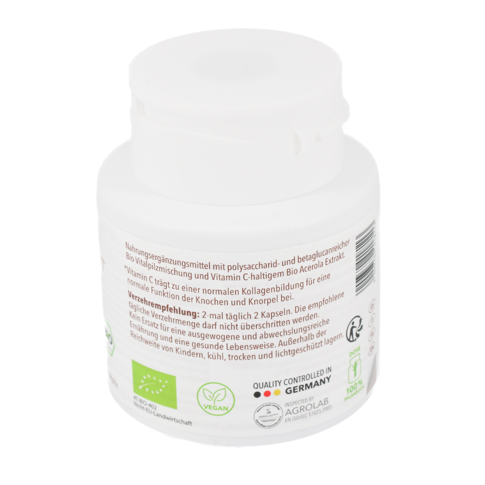 BIO VITALPILZMISCHUNG Beweglichkeit Kapseln