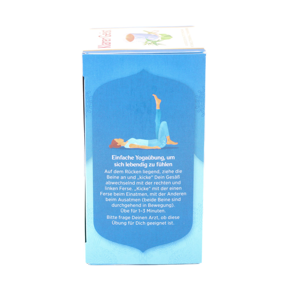 YOGI TEA Klarer Geist Bio Filterbeutel